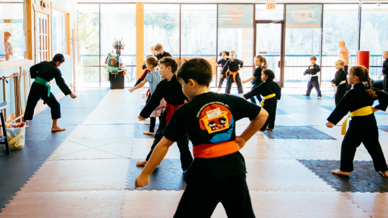 Virtual Martial Arts Classes | Budo Mountain