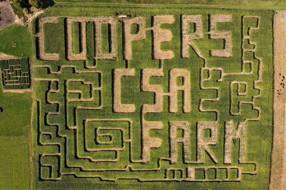 10 acre CORN MAZE | Cooper's CSA