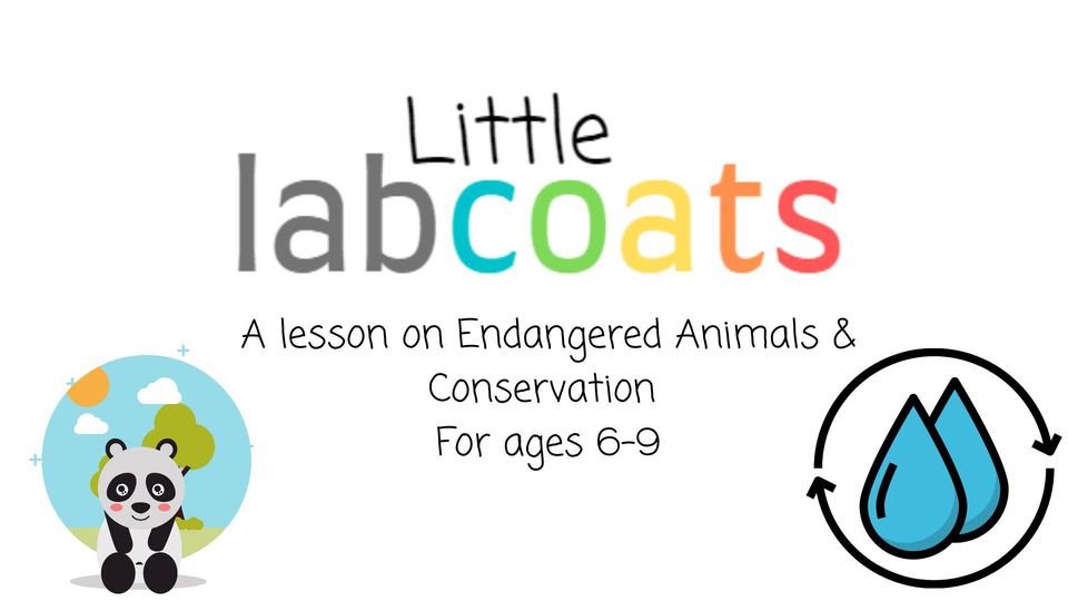 Little Lab Coats: A Lesson on Endangered Animals & Conservation!