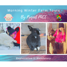 Winter Farm Tours for Toddlers & Kids