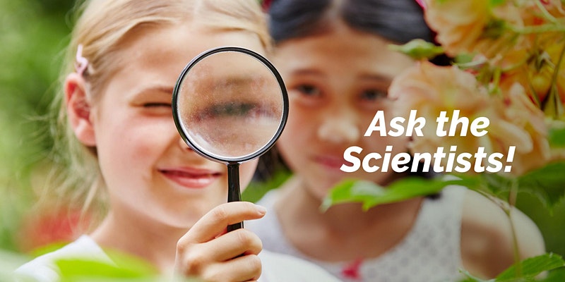 Ask the Scientists: Environmental Justice Conversation for Kids