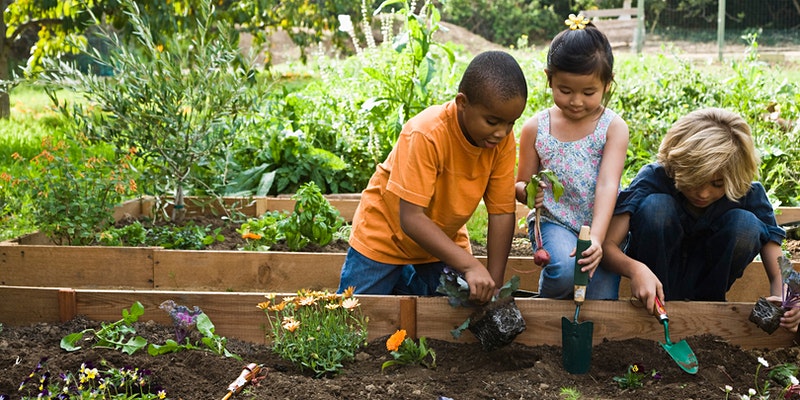 Gardening with Kids by Toronto Botanical Garden