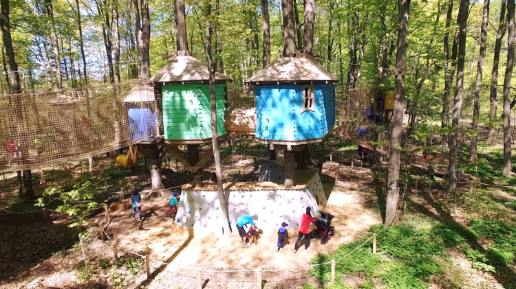 Treewalk Village ―The Playground In The Trees For Kids