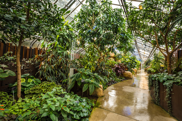 Explore the Greenhouses at the Botanical Garden