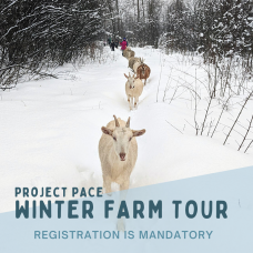 Winter Farm Tour