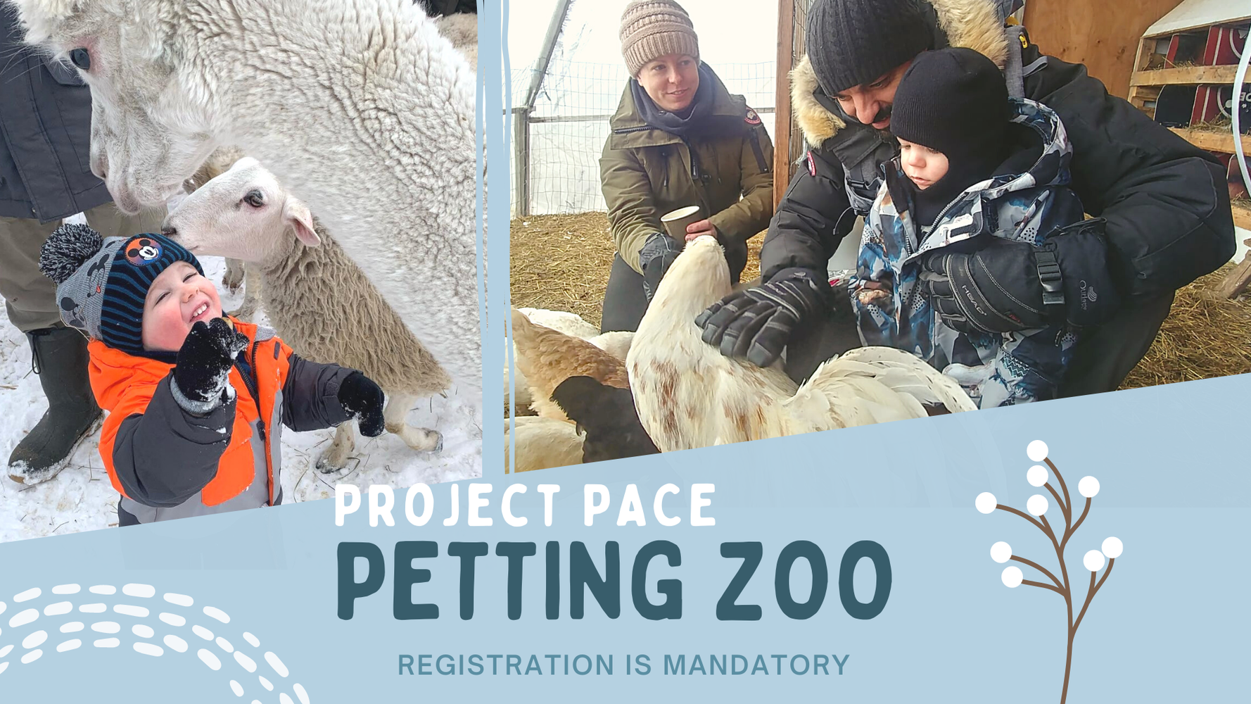 Petting Zoo | Project PACE