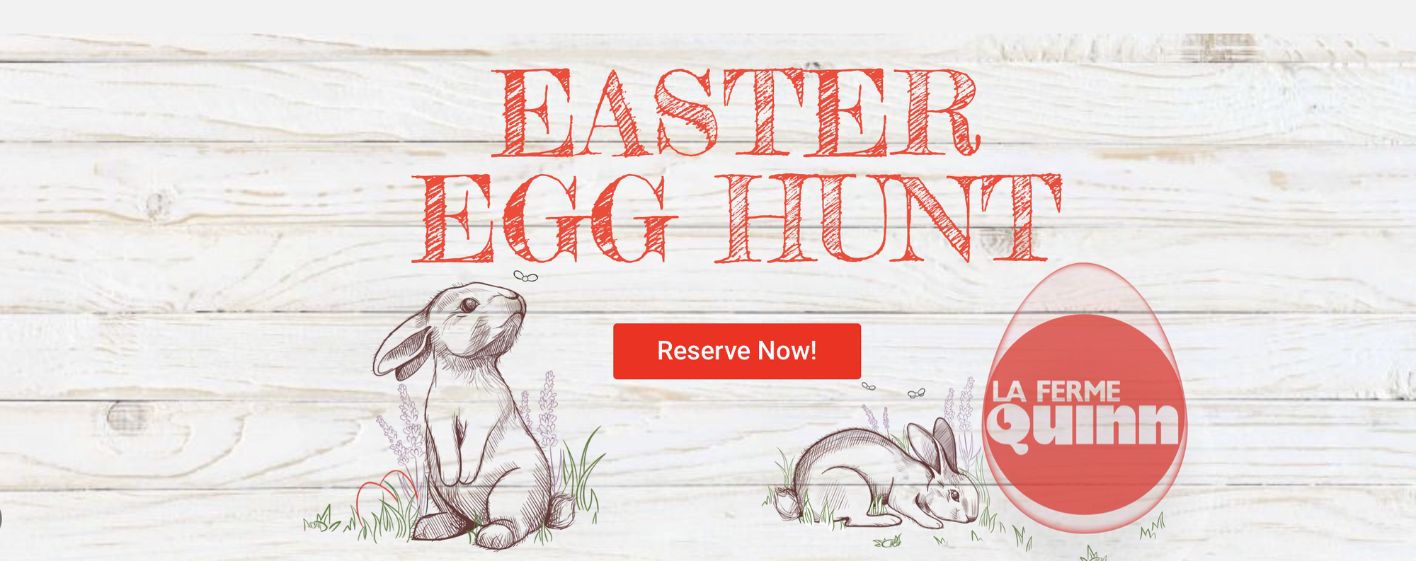 Easter Egg Hunt | Quinn Farm