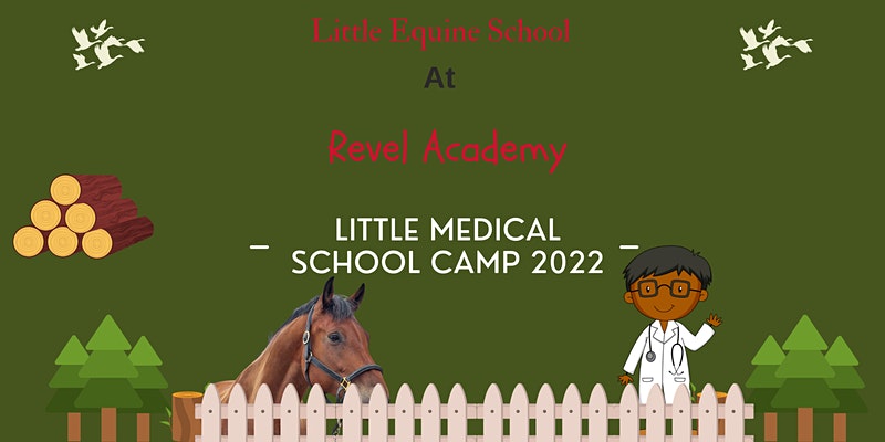 Little Equine School Summer Camp