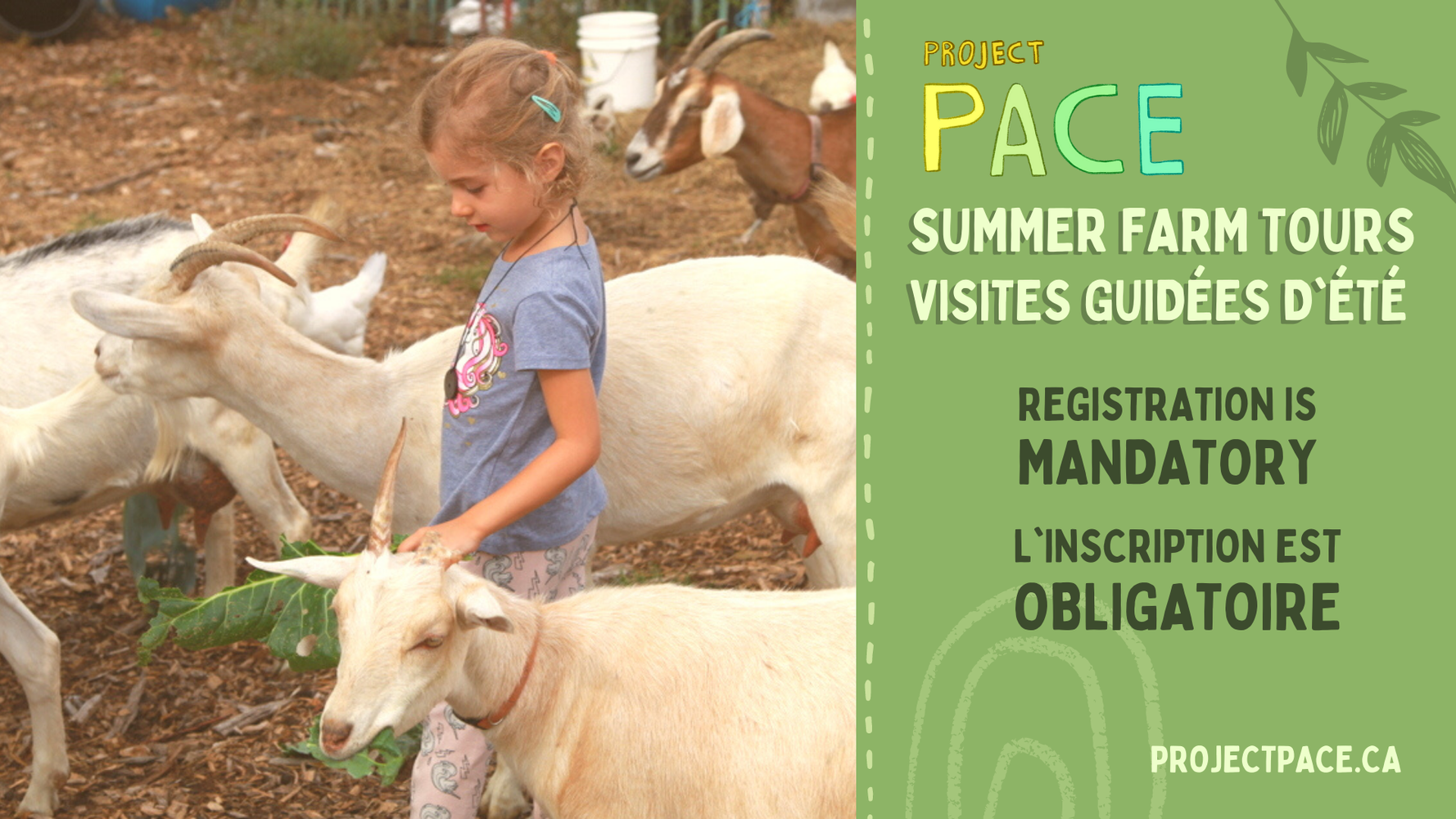 Summer Farm Tours for Toddlers and Kids (Ile Bizard)