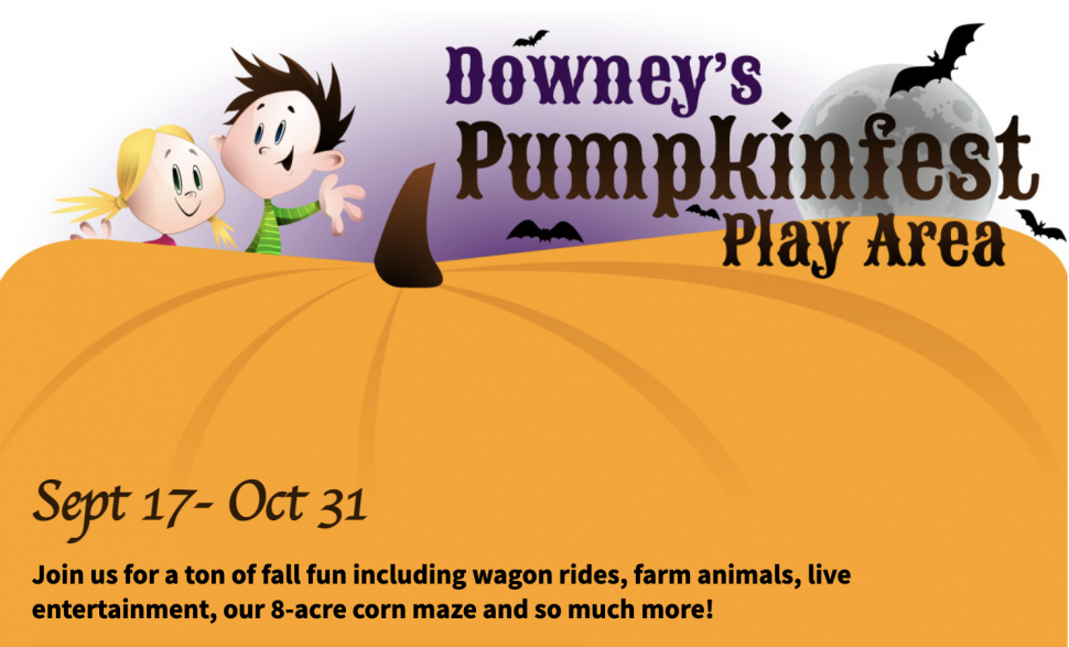 Pumpkin fest and Corn Maze | Downey's Farm