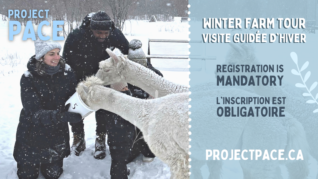 Winter Farm Tours & Petting Zoo | Project PACE