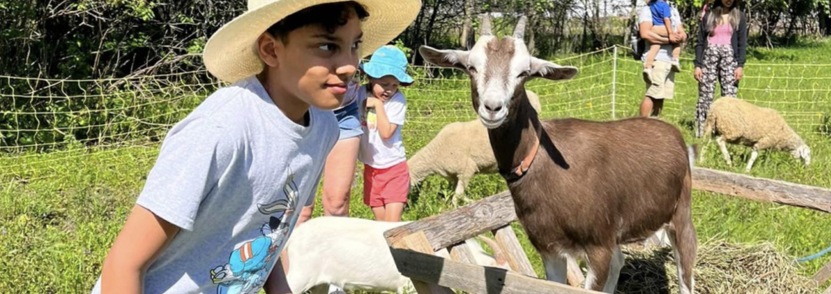Summer Petting Zoo | Project Pace